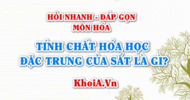 Tính chất hóa học đặc trưng của Sắt (Fe) là gì? Hỏi nhanh đáp gọn môn Hóa